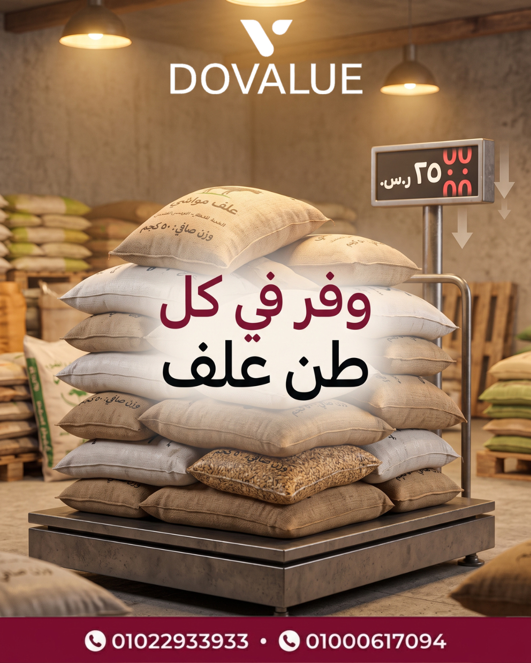 الشريحة 1